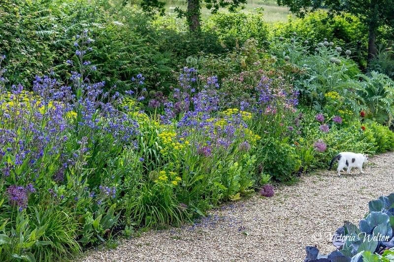 The Gardens at River Cottage 2
