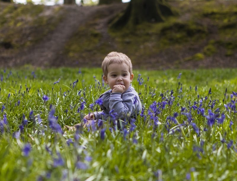 If you are looking for huge carpets of bluebells, then I totally recommend Blackbury Camp in Southleigh, Devon for a family picnic and photo opportunity. Read more over on my blog post.
