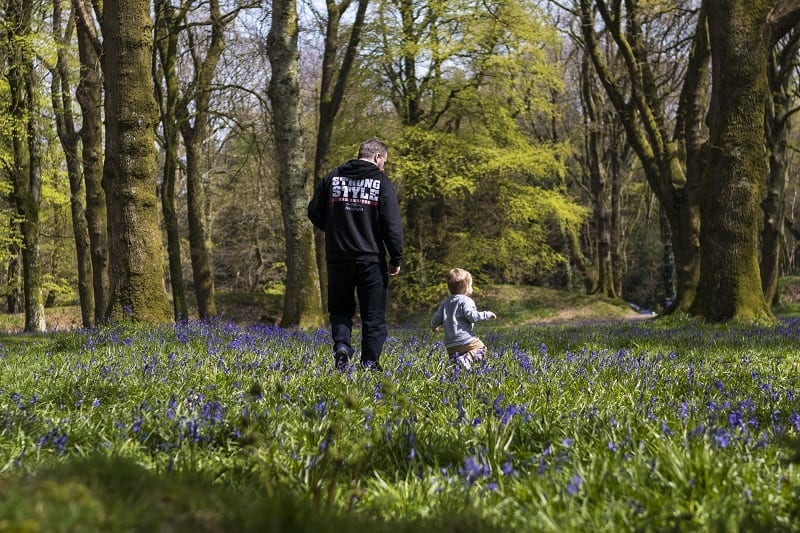 If you are looking for huge carpets of bluebells, then I totally recommend Blackbury Camp in Southleigh, Devon for a family picnic and photo opportunity. Read more over on my blog post.